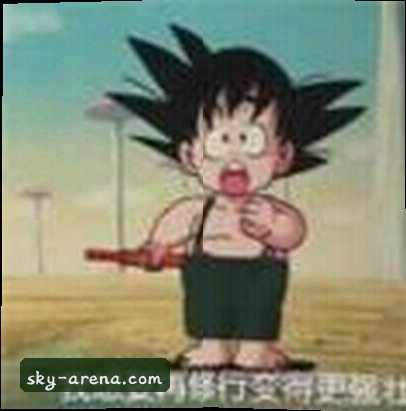 赵阳